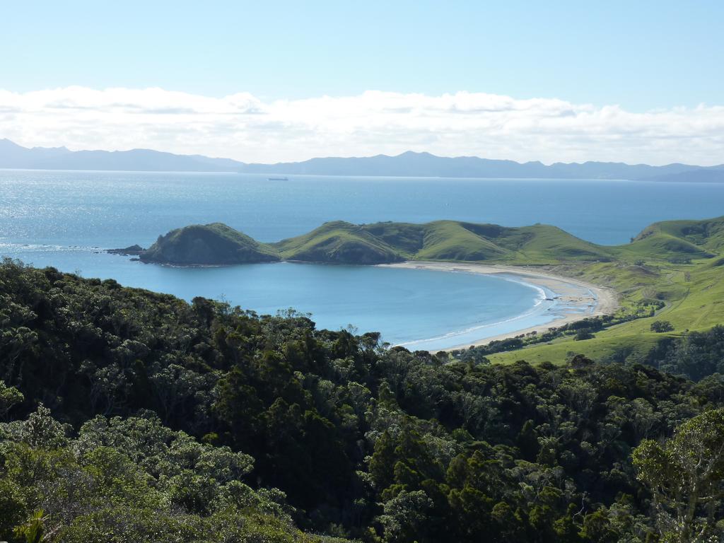 The Green House B&B Whitianga Exterior photo